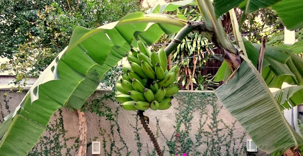 Gavea Bnb Rio de Janeiro Bagian luar foto