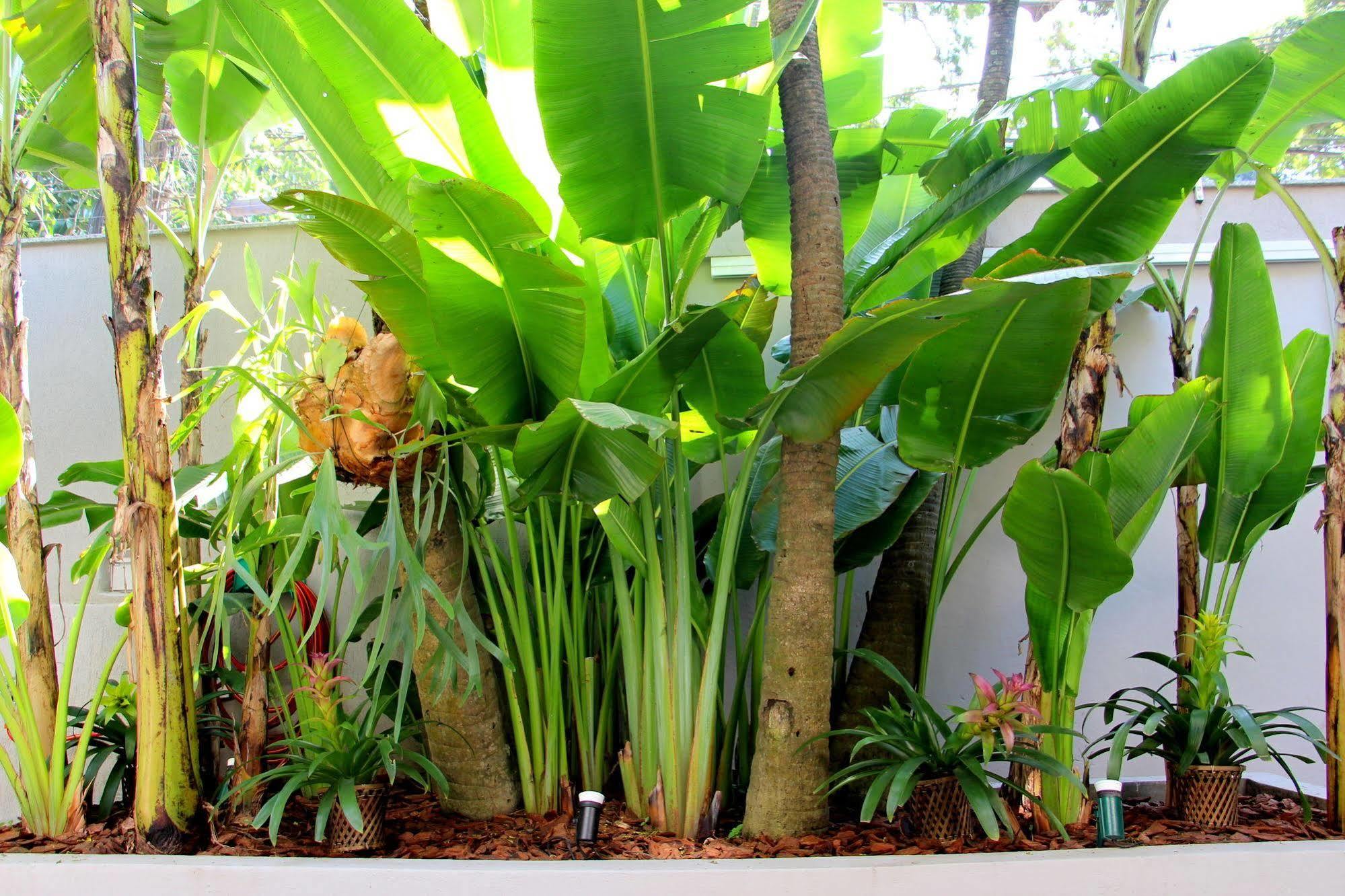 Gavea Bnb Rio de Janeiro Bagian luar foto